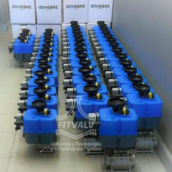 Posts FITVALV (32) Posts FITVALV (32)