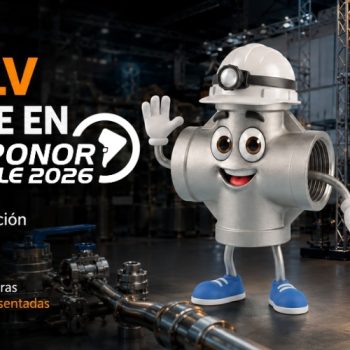 para prevenir accidentes proteger equipos garantizar un funcionamiento eficiente en sistemas de presión. ¿Necesita más información sobre su aplicación en una industria específica Nuestro equipo té (5)